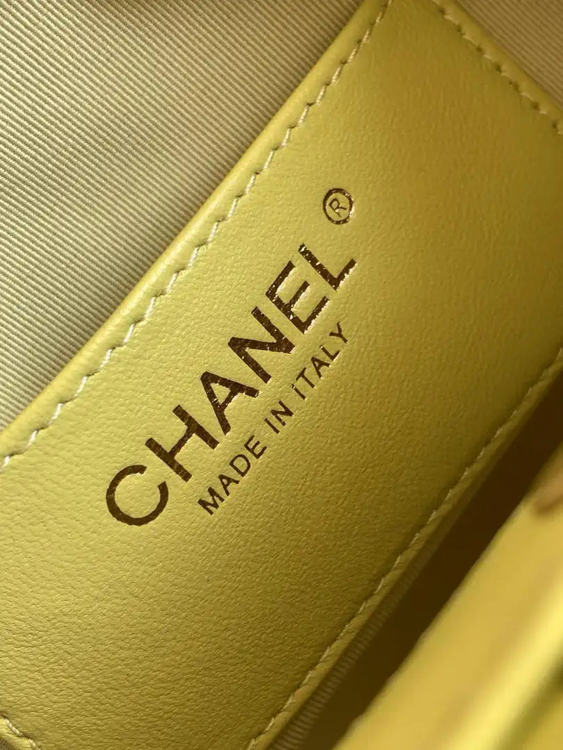 Chanel 26C AS6022 Small Hobo Lambskin Turtoise-Shell Effect Plexi & Gold-Tone Metal Yellow