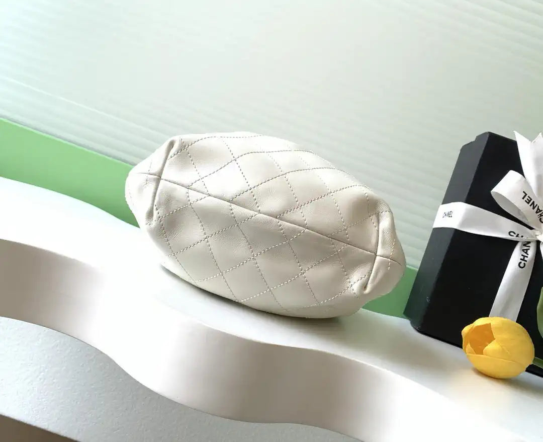Chanel 26C AS6022 Small Hobo Lambskin Turtoise-Shell Effect Plexi & Gold-Tone Metal White