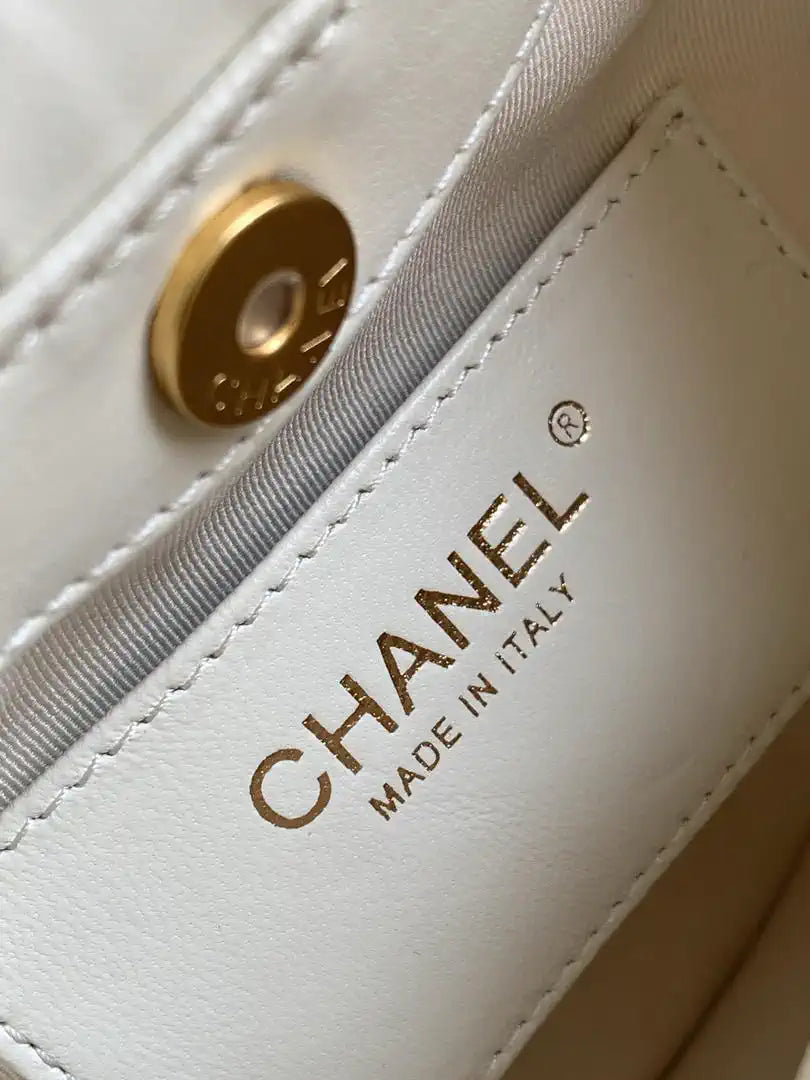 Chanel 26C AS6022 Small Hobo Lambskin Turtoise-Shell Effect Plexi & Gold-Tone Metal White