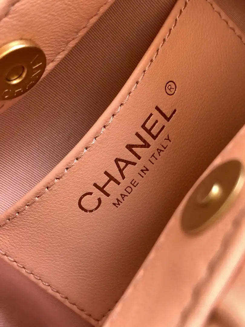 Chanel 26C AS6022 Small Hobo Lambskin Turtoise-Shell Effect Plexi & Gold-Tone Metal Pink