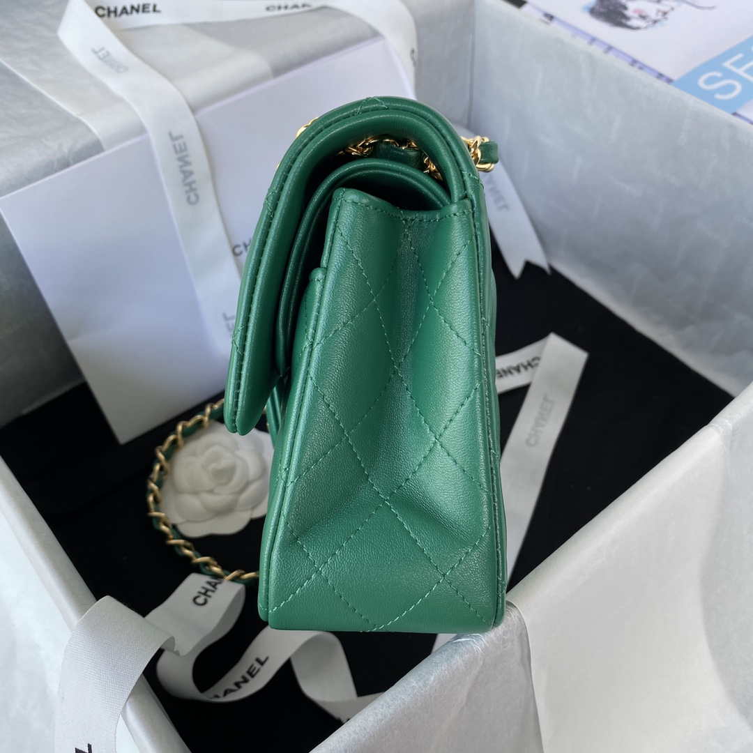 Chanel A01113 Flap Handbag Classic Bag Lambskin Green Gold - Default Title - View 5