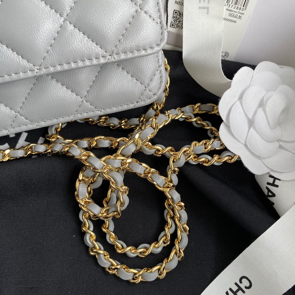 Chanel AP0250 Wallet on Chain Lambskin A33814 Gray