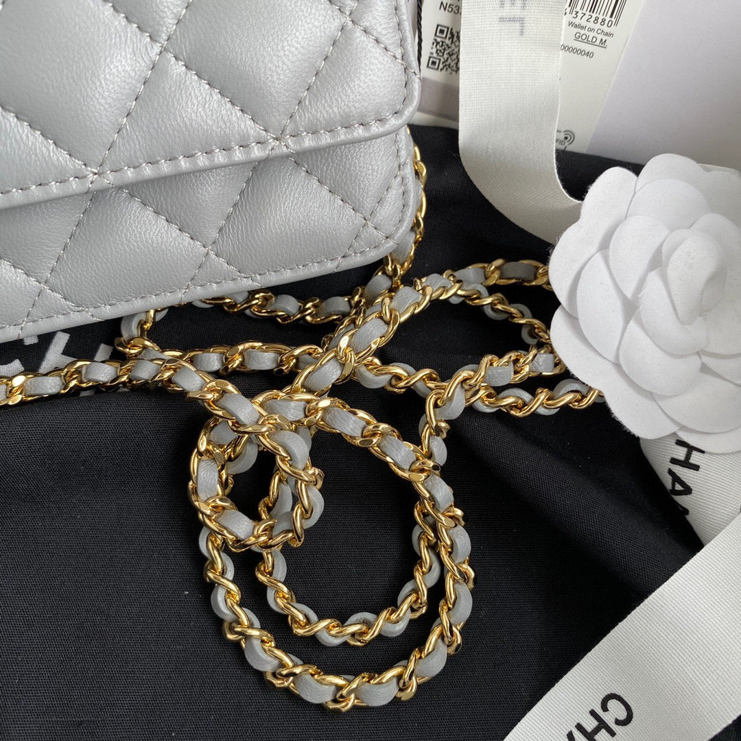 Chanel AP0250 Wallet on Chain Lambskin A33814 Gray - Default Title - View 4