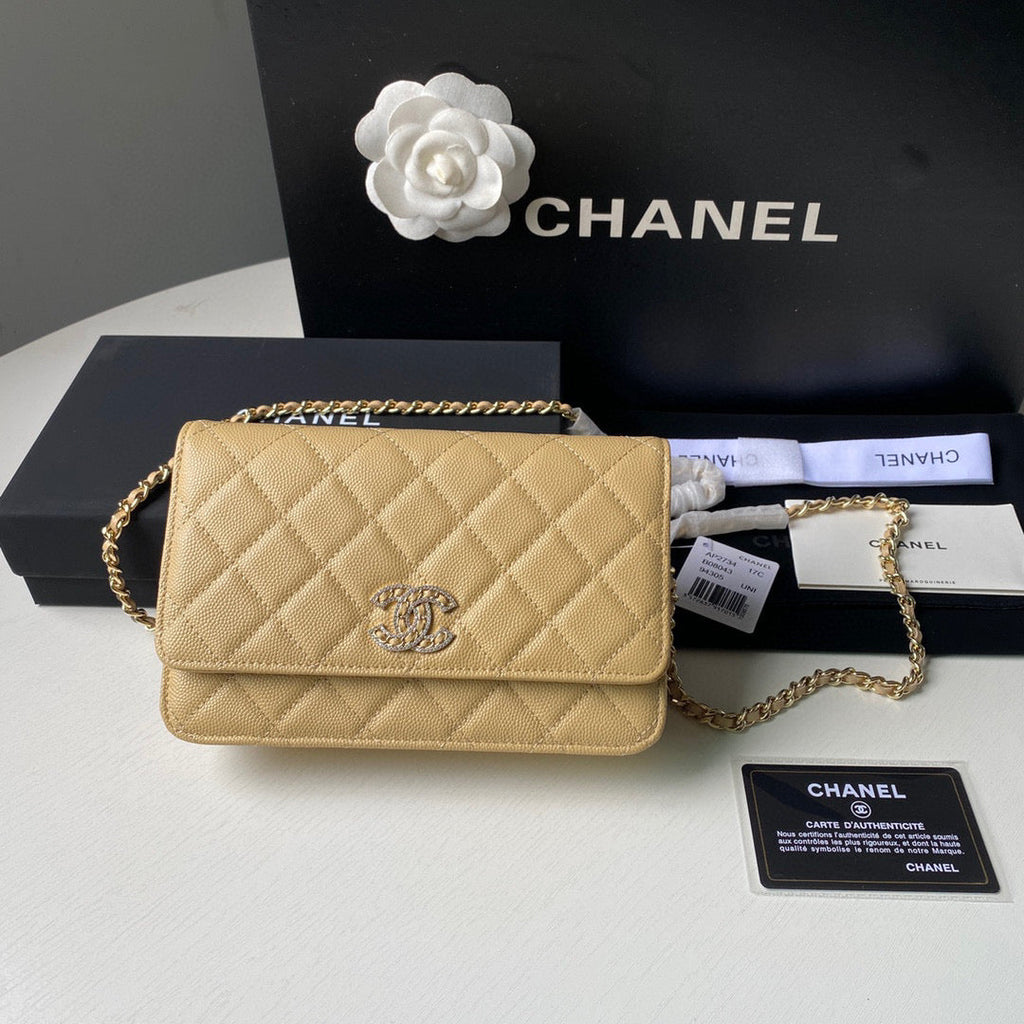 Chanel Classic Wallet on Chain Grained Shiny AP2742 Apricot