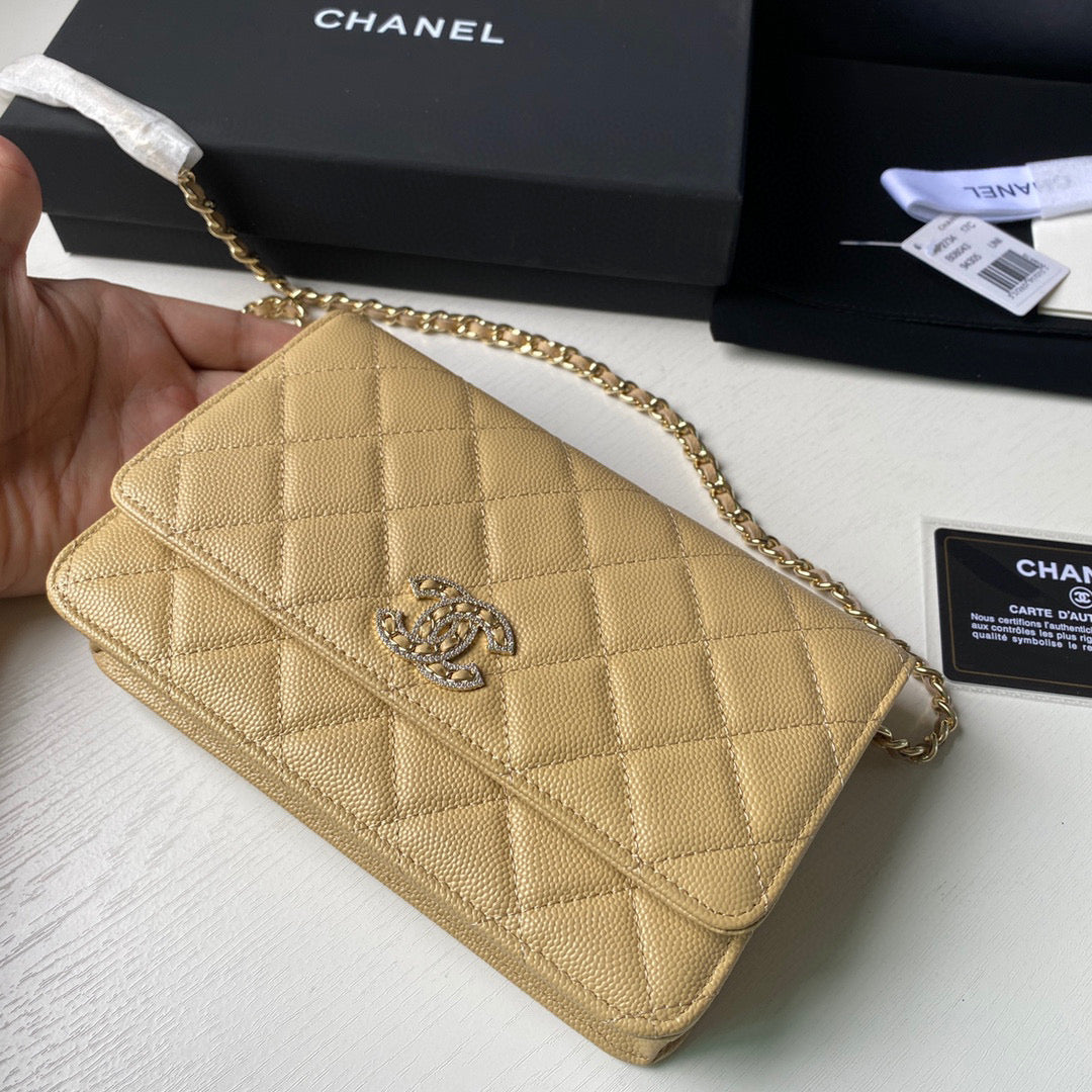 Chanel Classic Wallet on Chain Grained Shiny AP2742 Apricot - Default Title - View 4