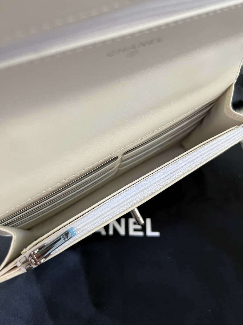 Chanel AP3645 Woc Wallet on Chain White Shiny Crumpled Calfskin Strass & Ruthenium Finish Metal - Default Title - View 7