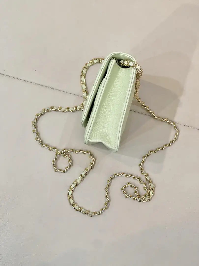 Chanel AP4241 Classic Wallet On Chain Calfskin Light Green