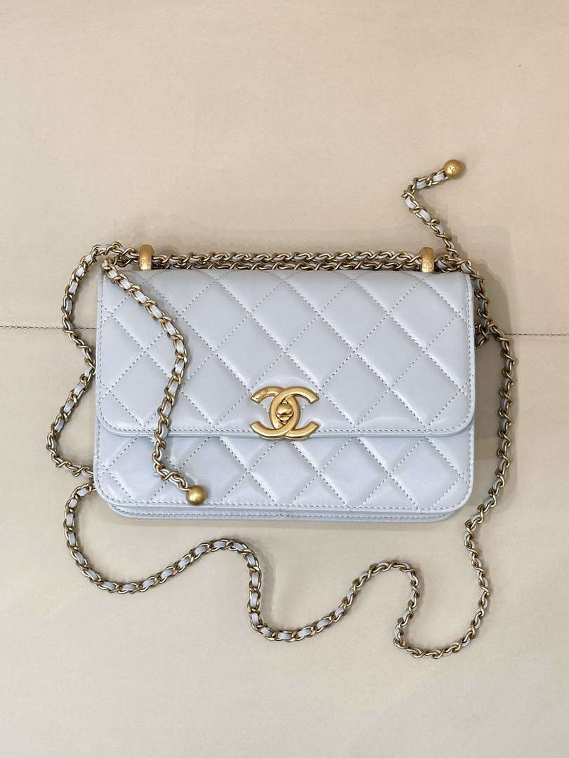 Chanel AS2649 Woc Wallet on Chain Calfskin Bag Blue - Default Title - View 5