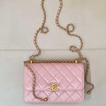 Chanel AS2649 Woc Wallet on Chain Calfskin Bag Pink - Default Title - View 1