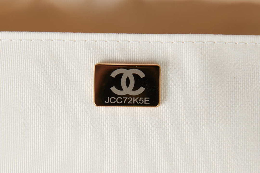 Chanel AS2924 Camera Case Bag White