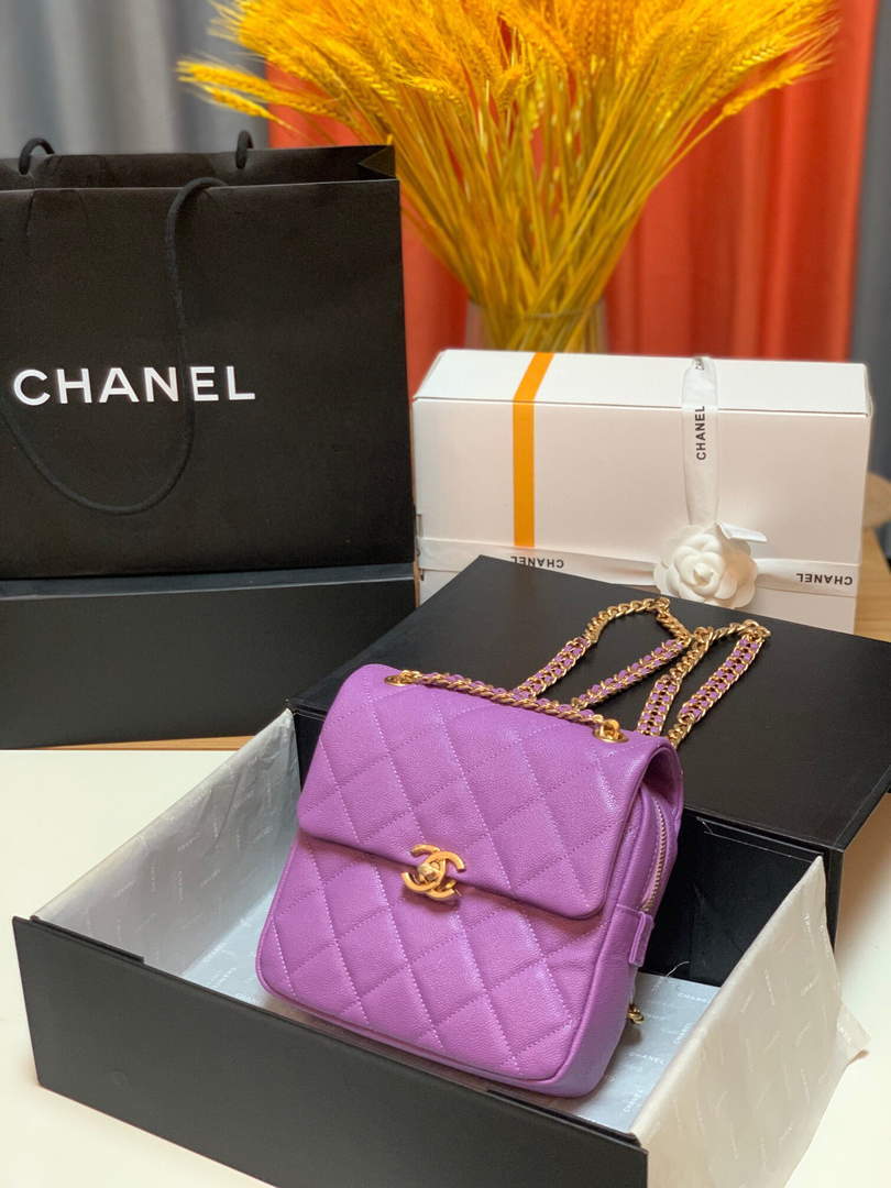 Chanel AS3108 Backpack Chanel flap bag Calfskin Purple