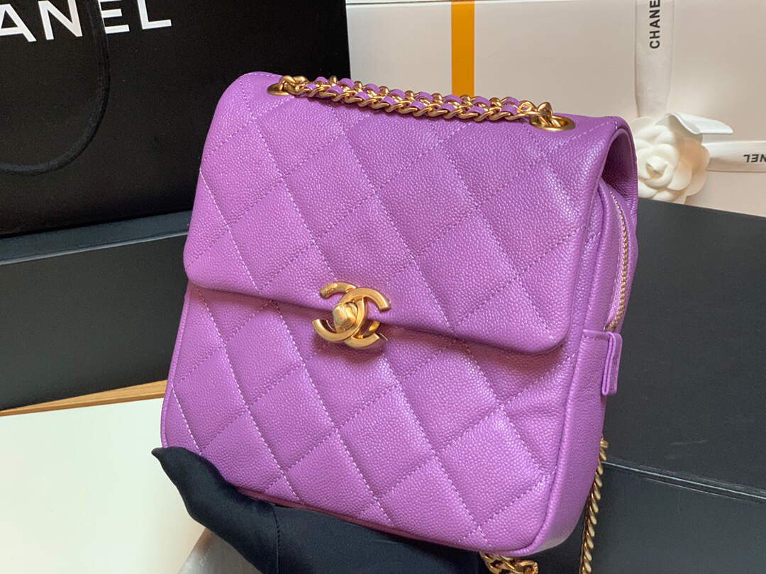 Chanel AS3108 Backpack Chanel flap bag Calfskin Purple