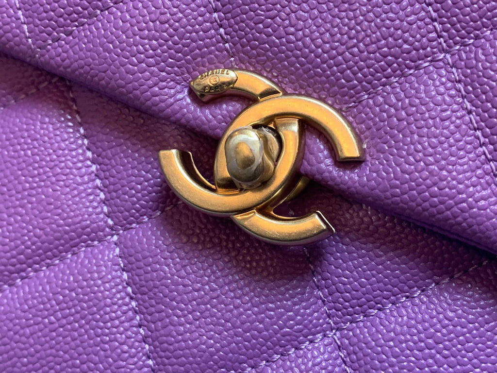 Chanel AS3108 Backpack Chanel flap bag Calfskin Purple