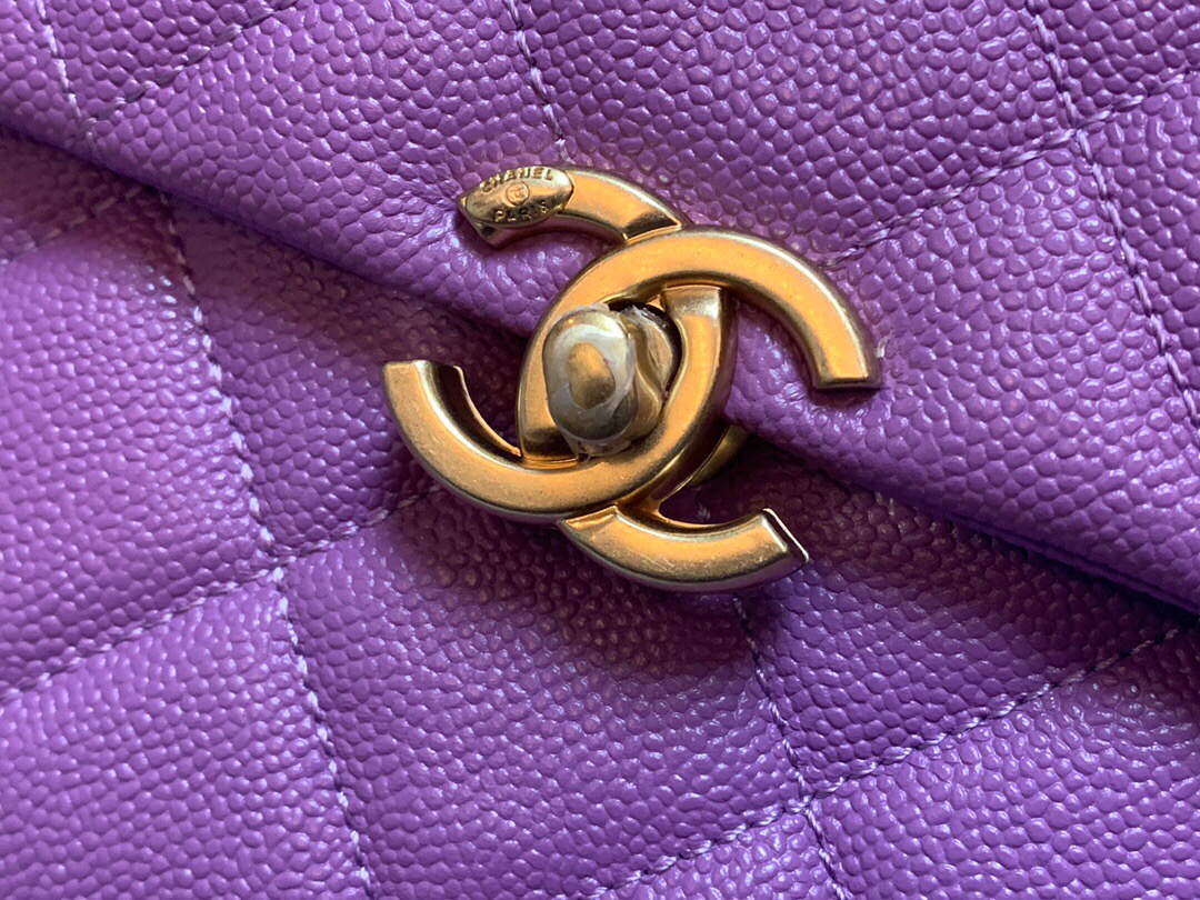 Chanel AS3108 Backpack Chanel flap bag Calfskin Purple