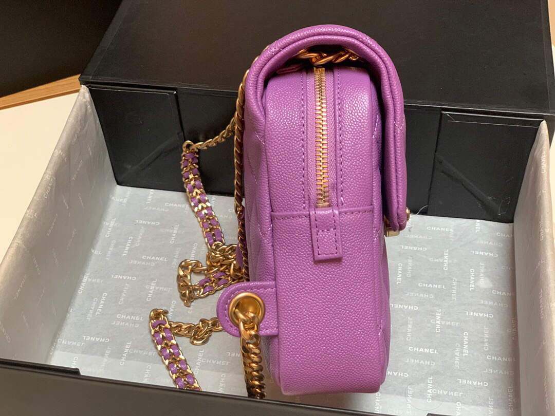 Chanel AS3108 Backpack Chanel flap bag Calfskin Purple