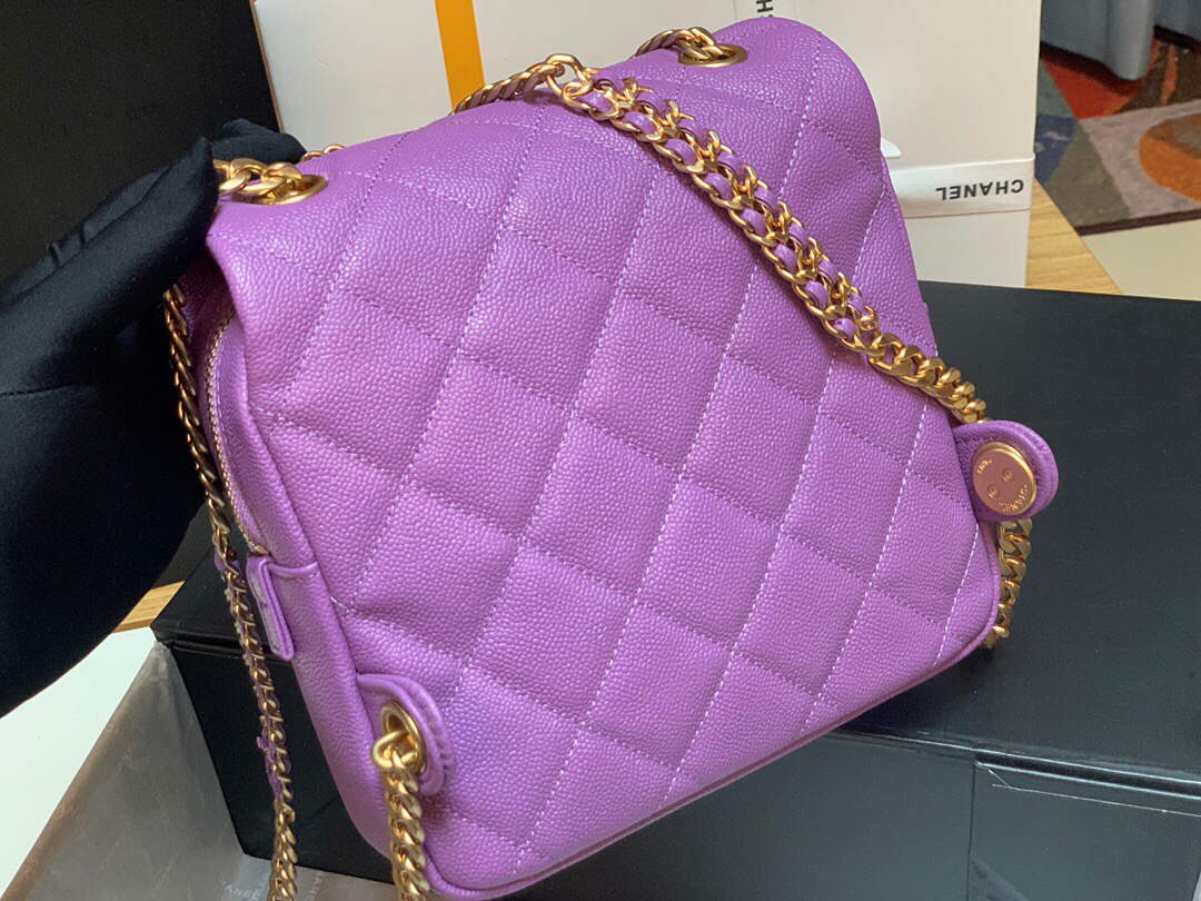 Chanel AS3108 Backpack Chanel flap bag Calfskin Purple