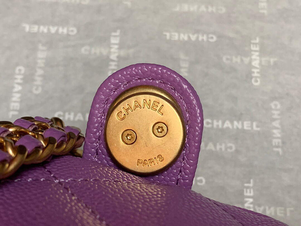 Chanel AS3108 Backpack Chanel flap bag Calfskin Purple
