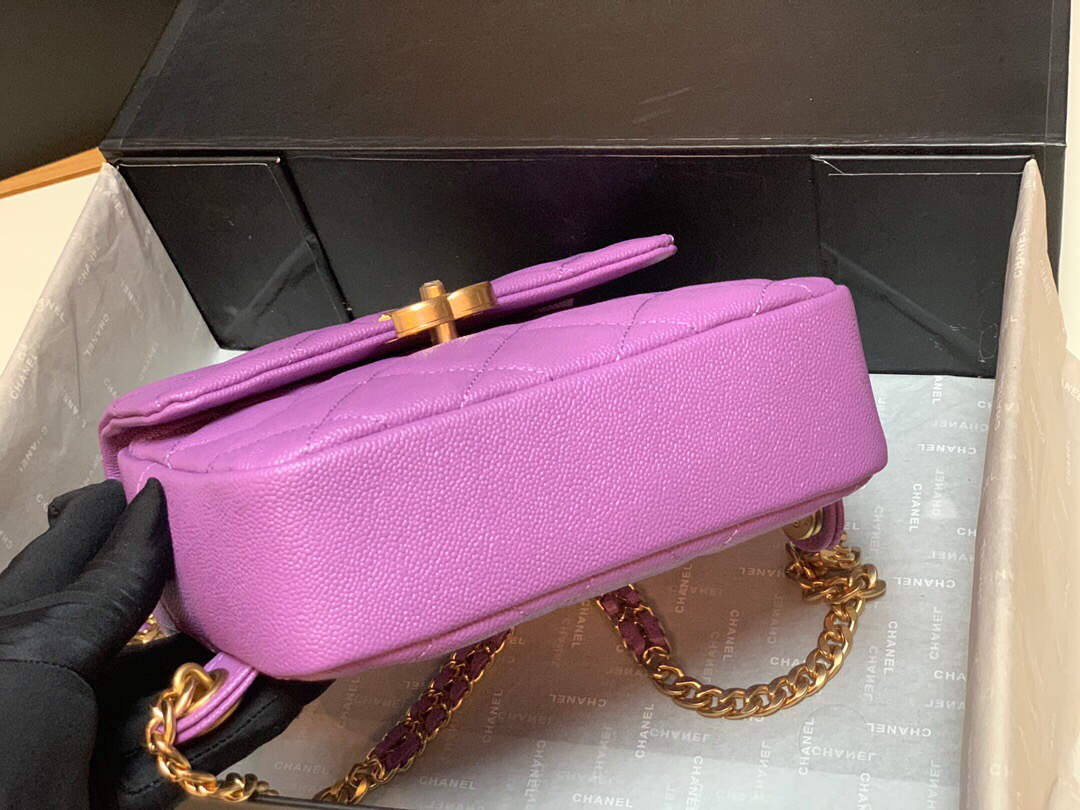 Chanel AS3108 Backpack Chanel flap bag Calfskin Purple