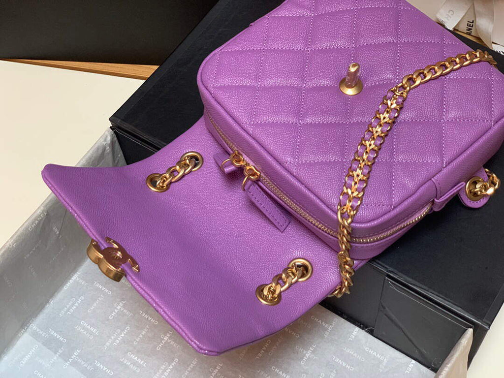 Chanel AS3108 Backpack Chanel flap bag Calfskin Purple