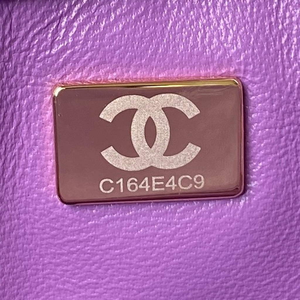 Chanel AS3117 Bucket Bag Lambskin Purple