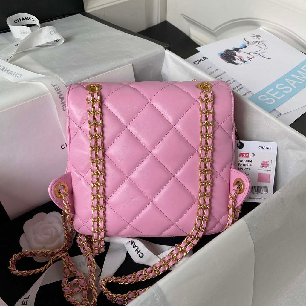 Chanel AS3384 Backpack Chain bag lambskin Pink