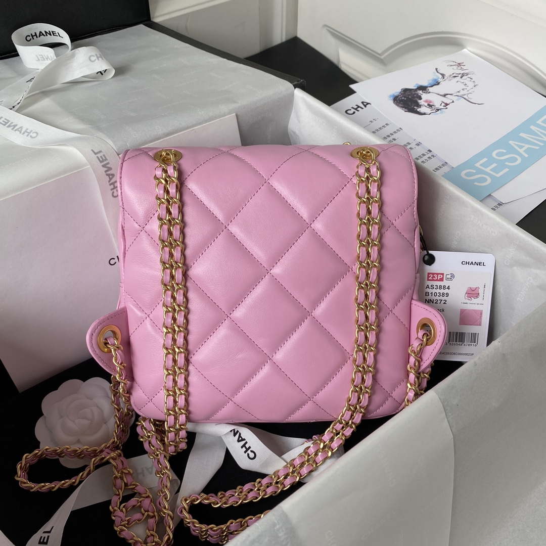 Chanel AS3384 Backpack Chain bag lambskin Pink