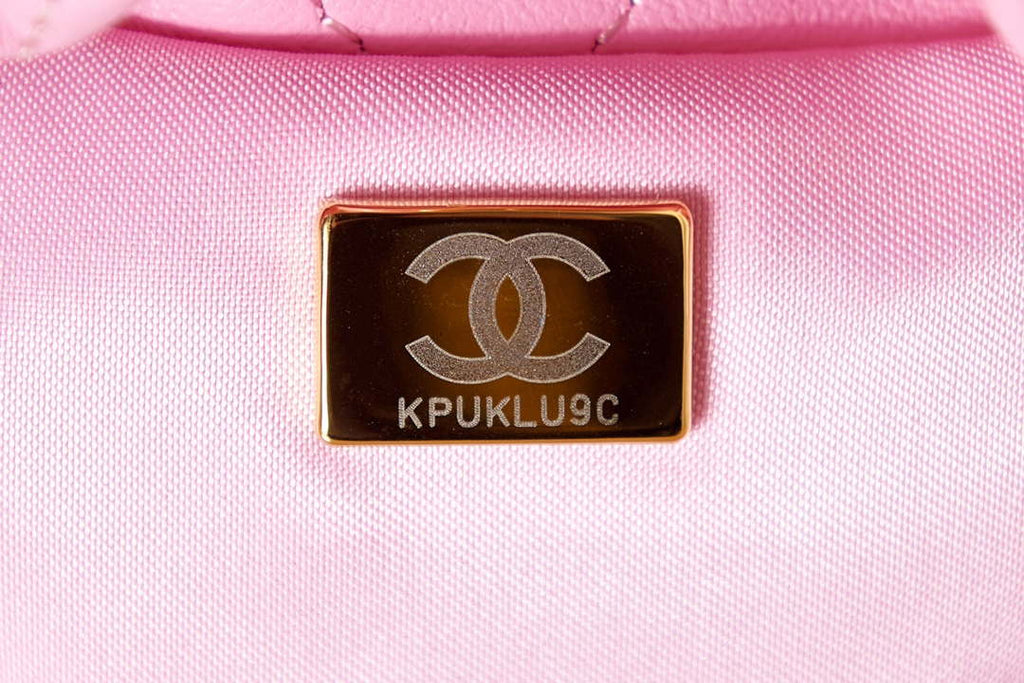 Chanel AS3793 Small Bucket Bag Lambskin Resin & Gold-Tone Metal Pink