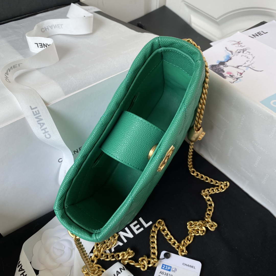 Chanel AS3830 Small Hobo Handbag Green Calfskin Gold - Default Title - View 5