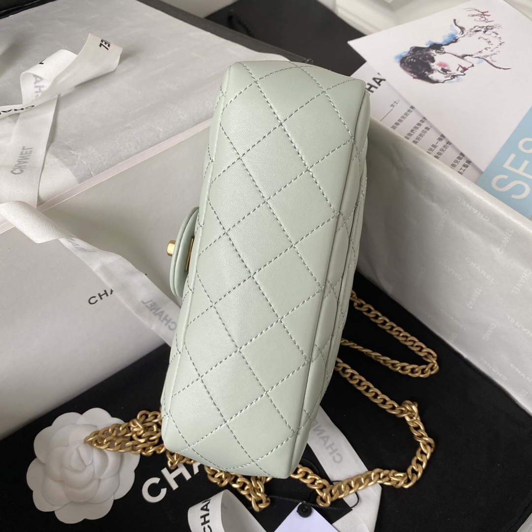 Chanel AS4041 Flap Classic Bag CF Camellia Lambskin Green Gray Gold - Default Title - View 5