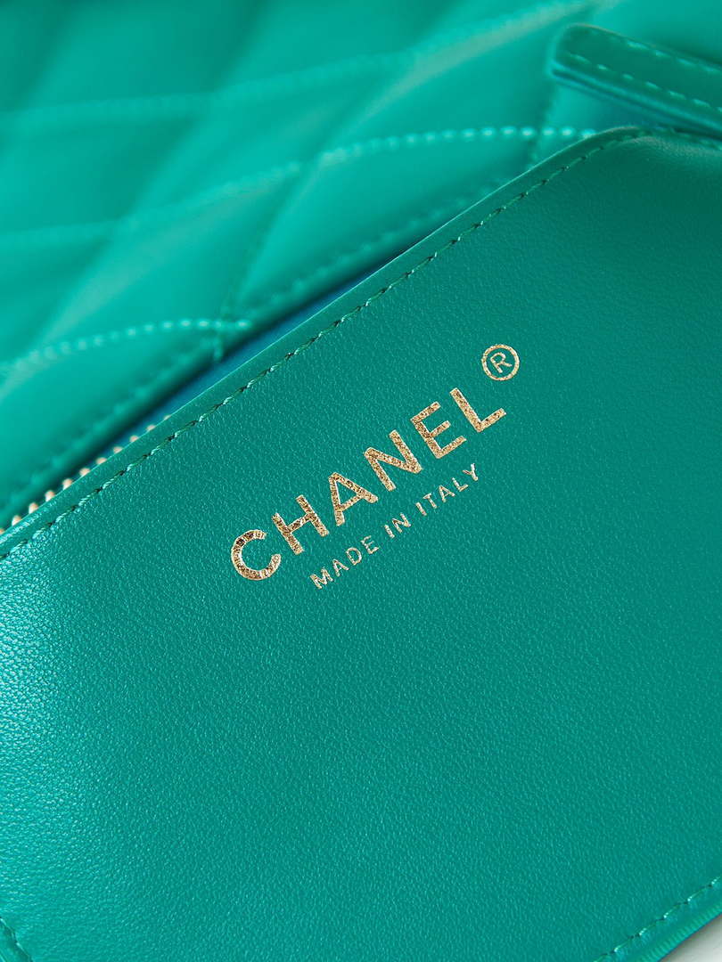 Chanel AS4220 HOBO Handbag Lambskin Green - Default Title - View 7