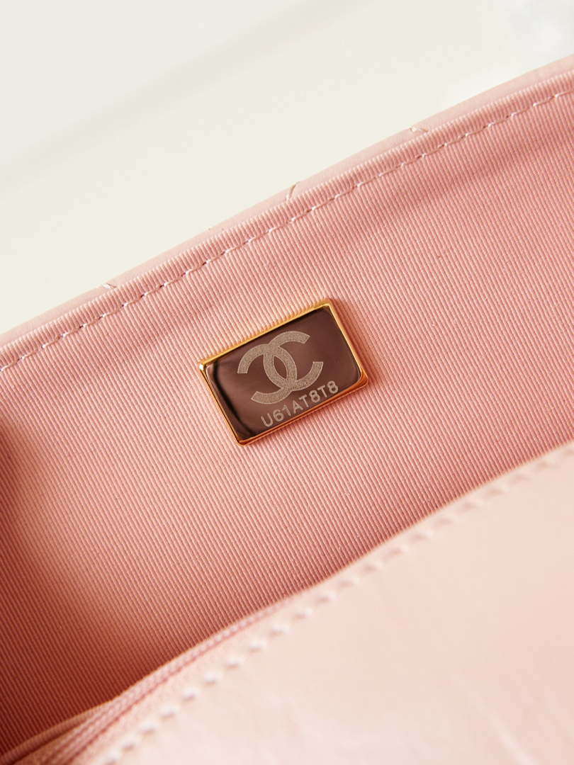Chanel AS4423 Flap Lambskin bag Pink