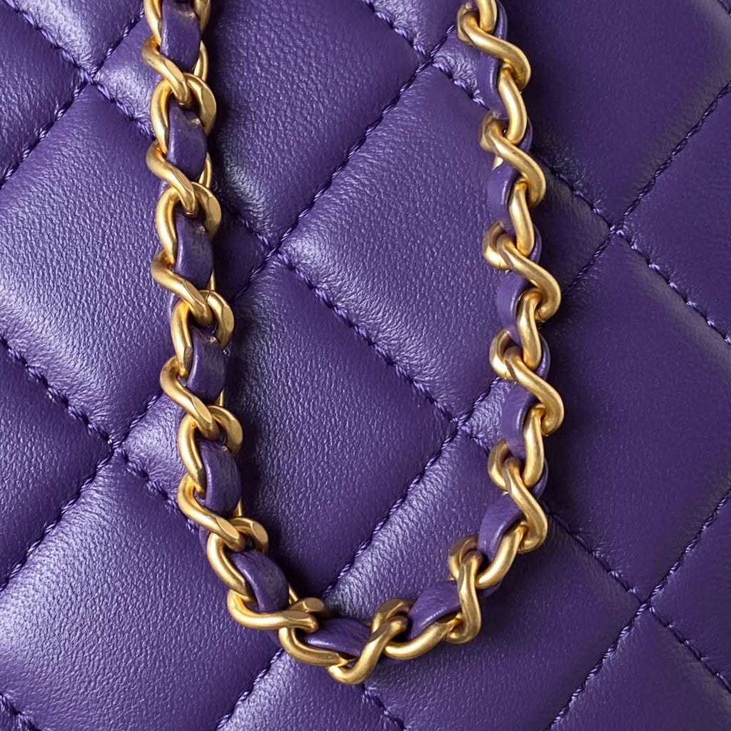 Chanel AS4610 Messenger bag Lambskin Purple
