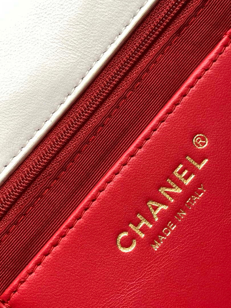 Chanel AS4773 Flap bag Lace Patchwork & Gold-Tone Metal White & Multicolor - Default Title - View 8