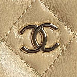 Chanel AS5220 Small Camera Case Bag Shiny Crumpled Lambskin & Gold-Tone Metal Apricot - Default Title - View 3