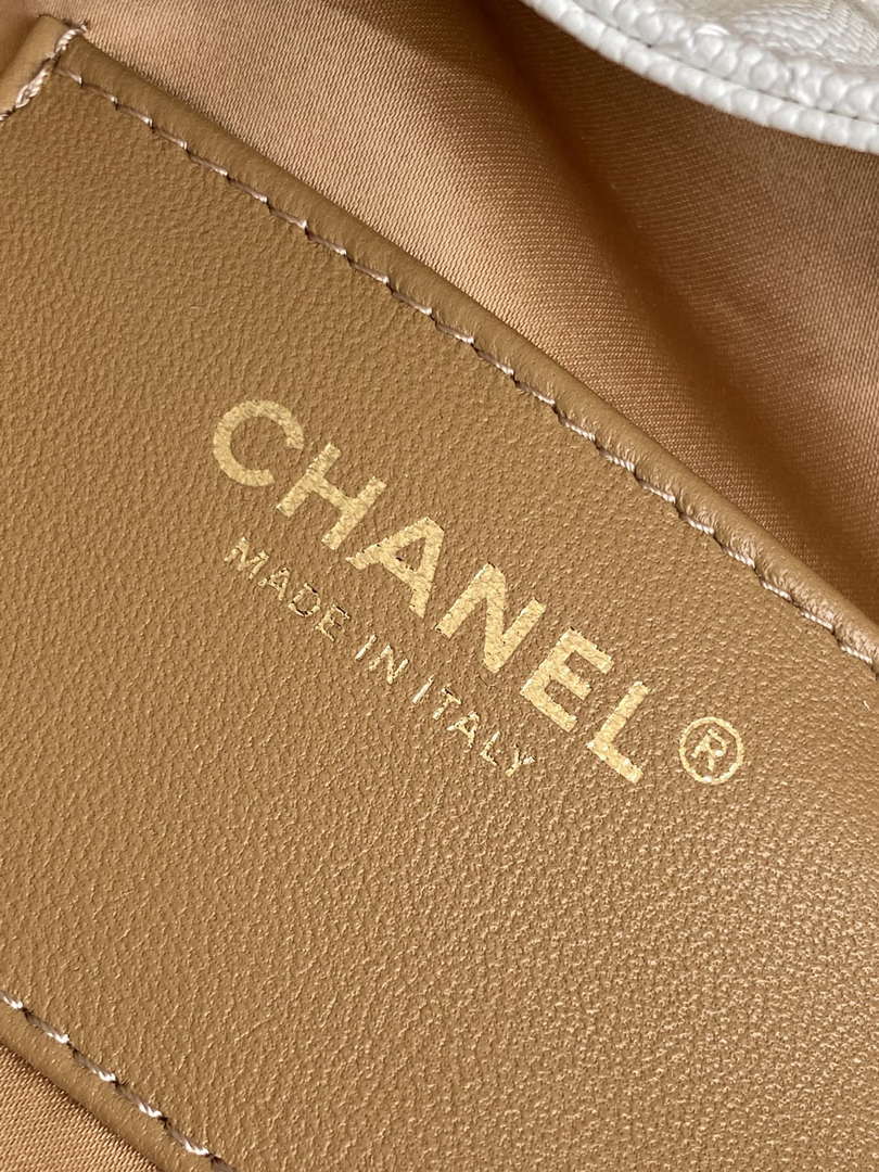 Chanel AS5293 Small Hobo Calfskin & Gold-Tone Metal White