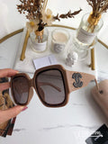 Chanel Cat Eye Sunglasses Chanel Shield Sport Fashion Show 993587