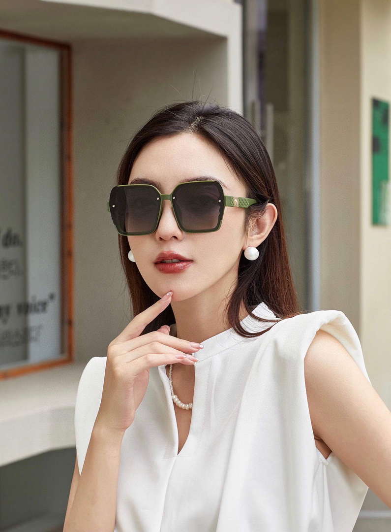 Chanel Classic Sunglasses C83172