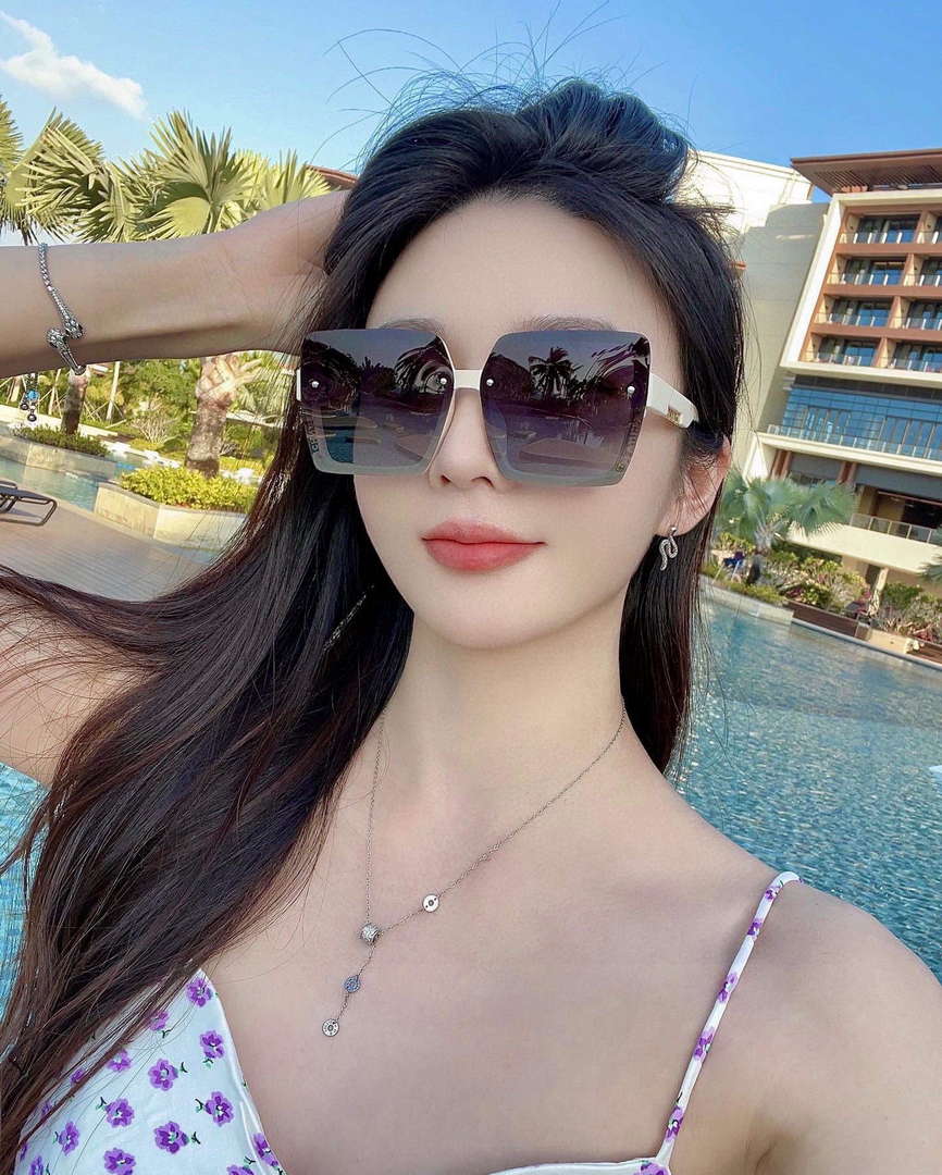 Chanel Classic Sunglasses C83176