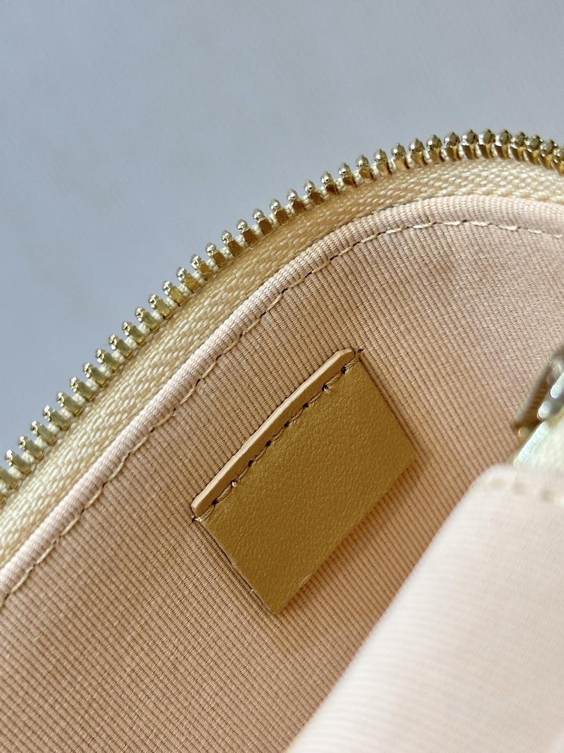 Chanel Classic Vanity with Chain Braided Raffia & Gold-Tone Metal AP4385 Nature