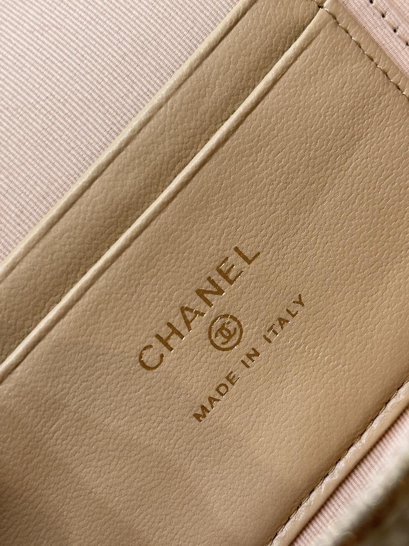 Chanel Classic Vanity with Chain Braided Raffia & Gold-Tone Metal AP4385 Nature