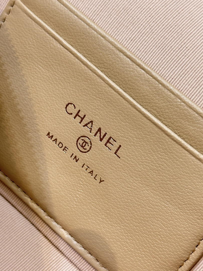 Chanel Classic Vanity with Chain Braided Raffia & Gold-Tone Metal AP4385 Nature