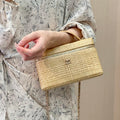 Chanel Classic Vanity with Chain Braided Raffia & Gold-Tone Metal AP4385 Nature - Default Title - View 1