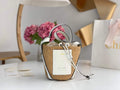 Chlo¨¦ CHC22SS391G56101 Small Basket Tote Bag White