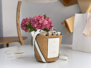 Chlo¨¦ CHC22SS391G56101 Small Basket Tote Bag White - Default Title - View 3