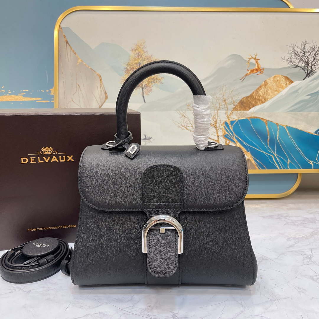 Delvaux AA0569 Brillant PM in Rodeo Calf Black - Default Title - View 1