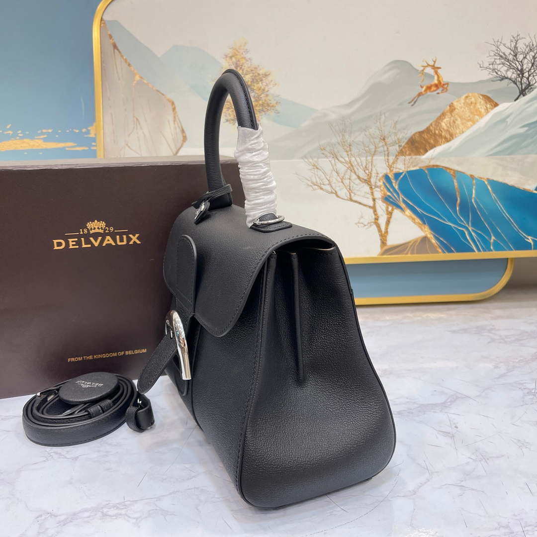 Delvaux AA0569 Brillant PM in Rodeo Calf Black