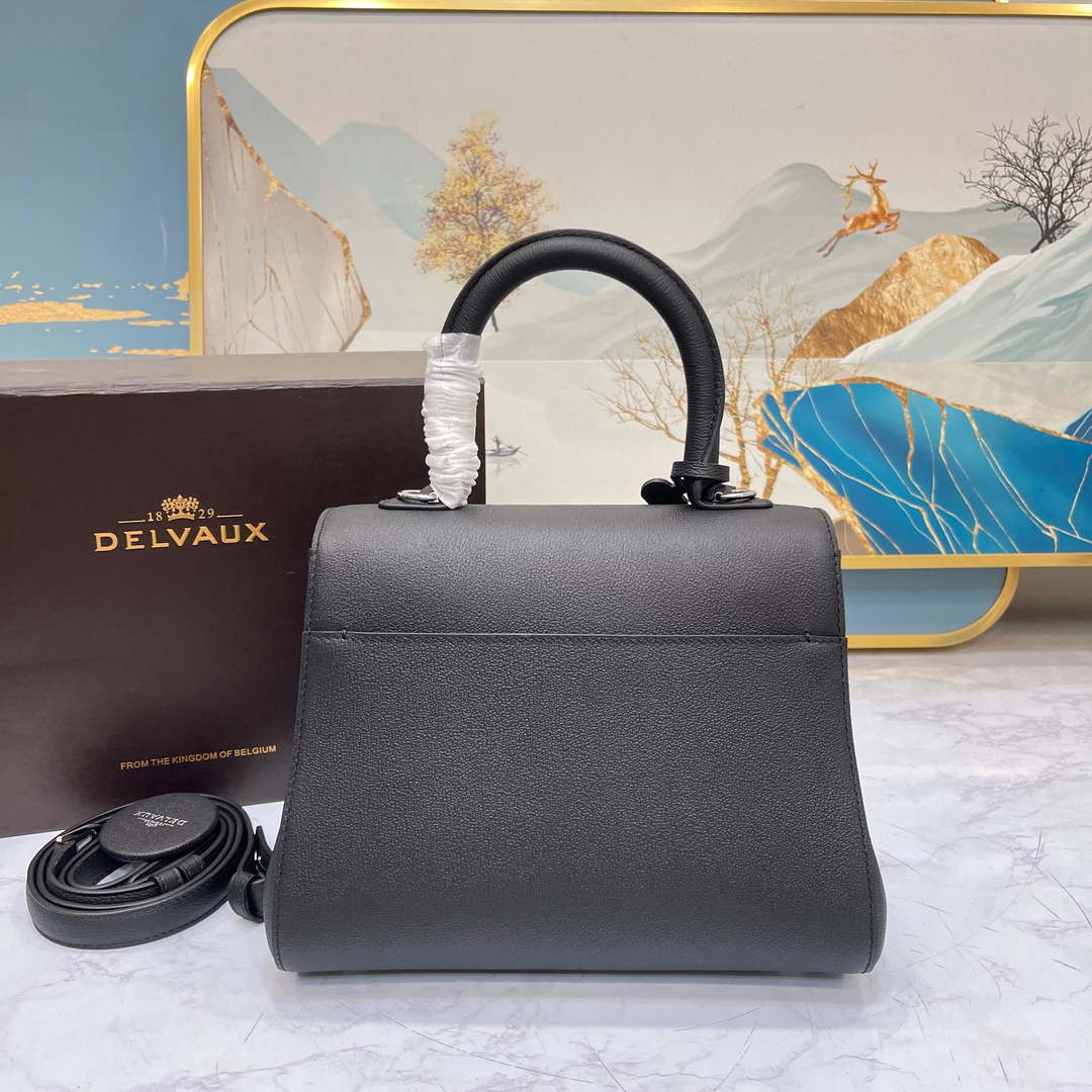 Delvaux AA0569 Brillant PM in Rodeo Calf Black