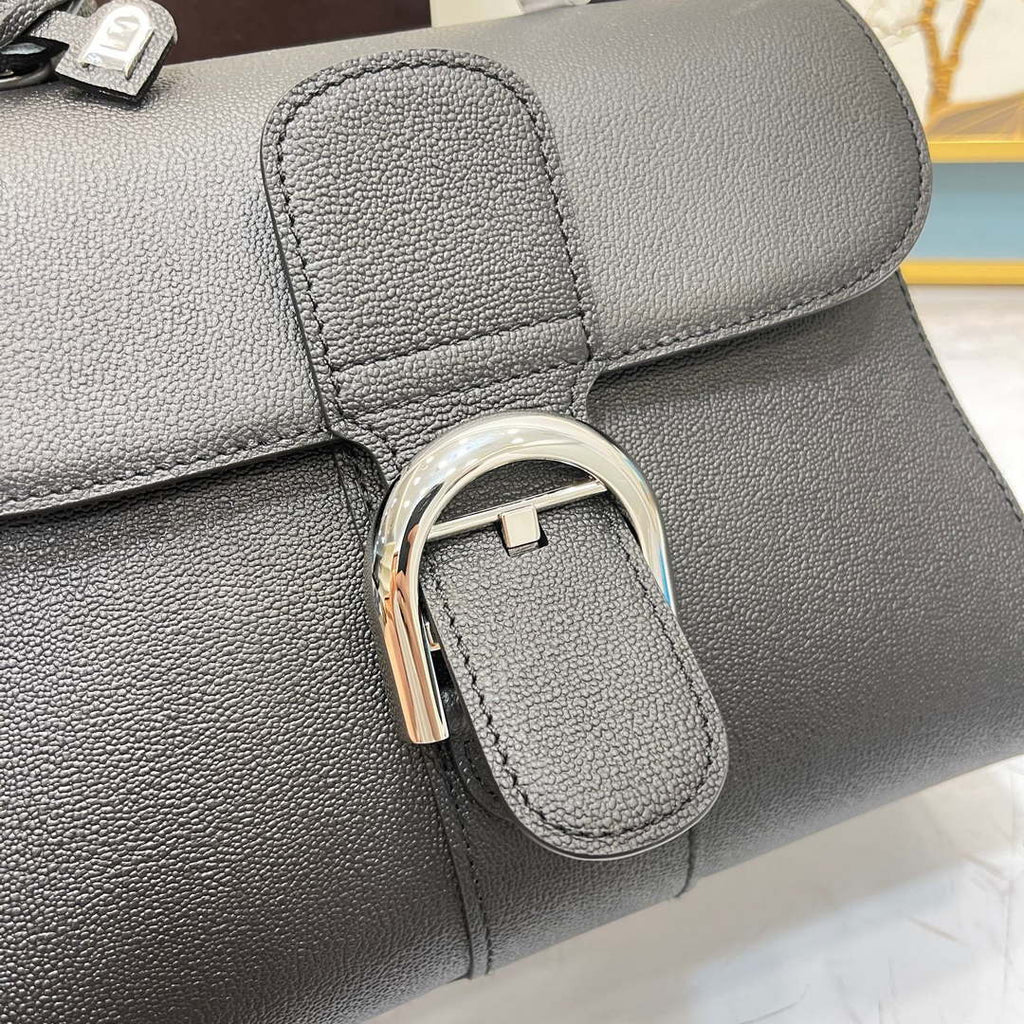 Delvaux AA0569 Brillant PM in Rodeo Calf Black