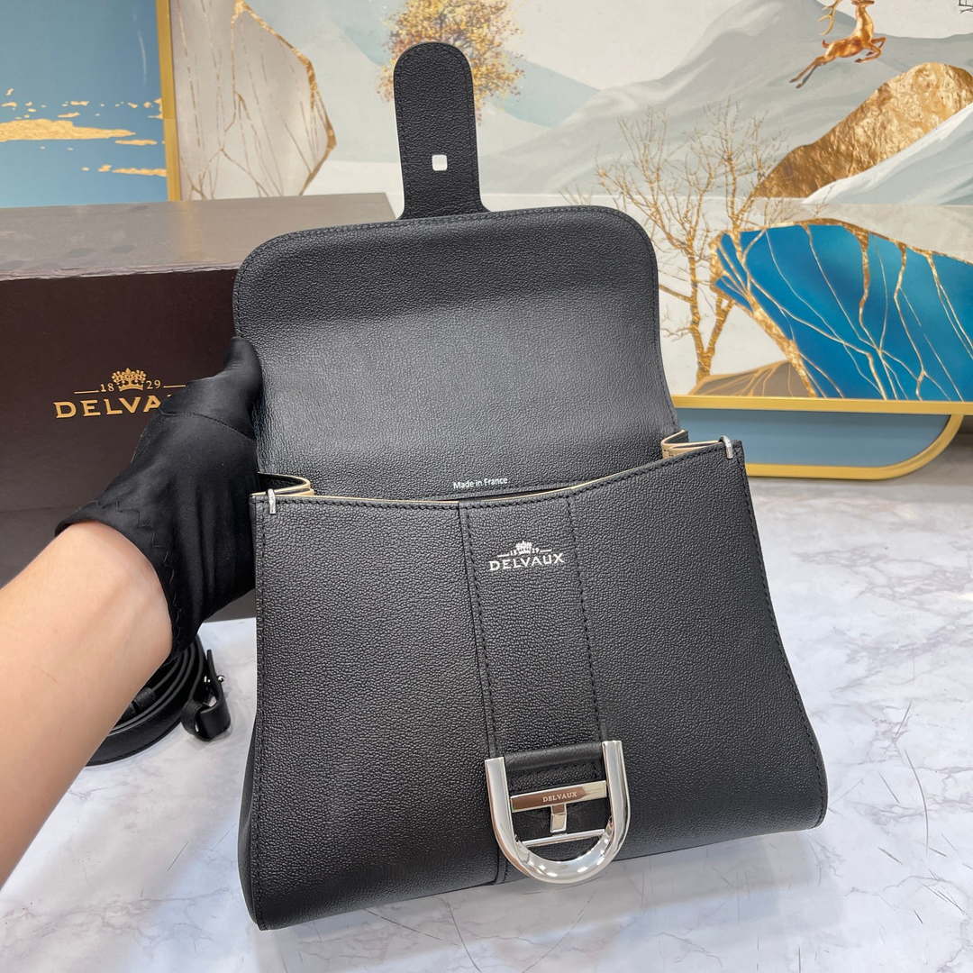 Delvaux AA0569 Brillant PM in Rodeo Calf Black