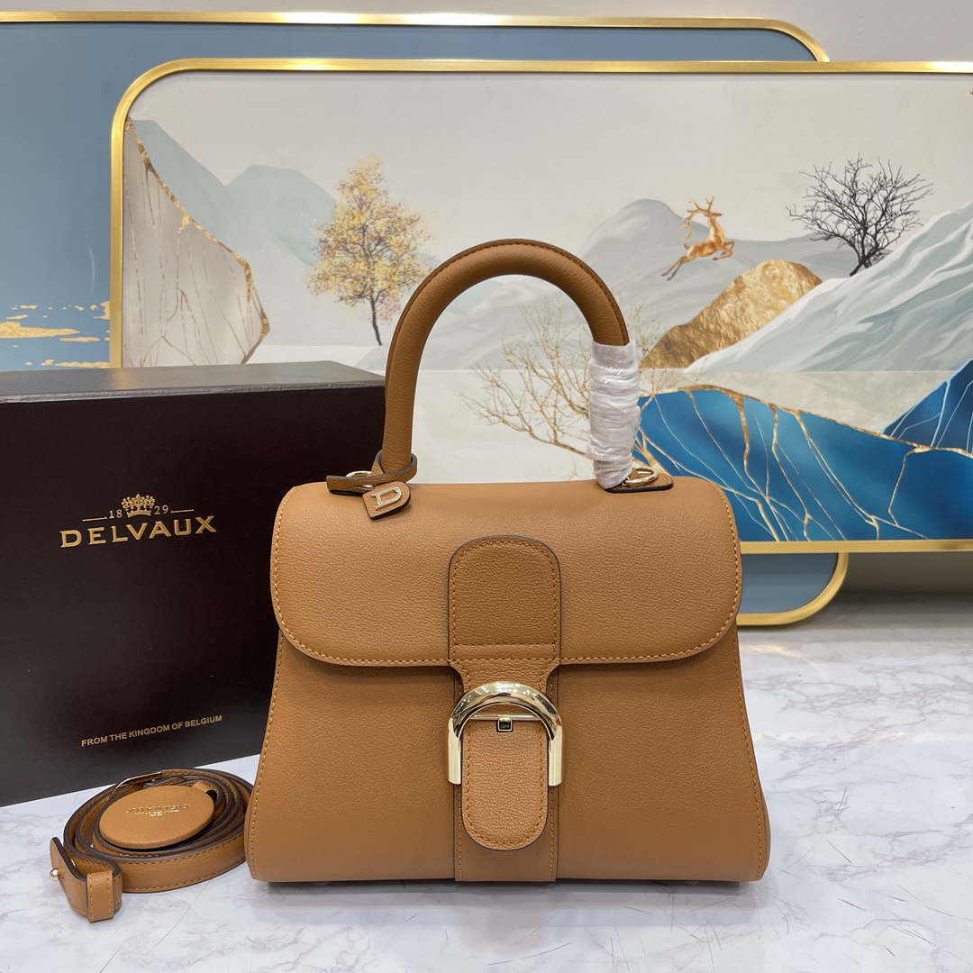 Delvaux AA0569 Brillant PM in Rodeo Calf Brown - Default Title - View 1